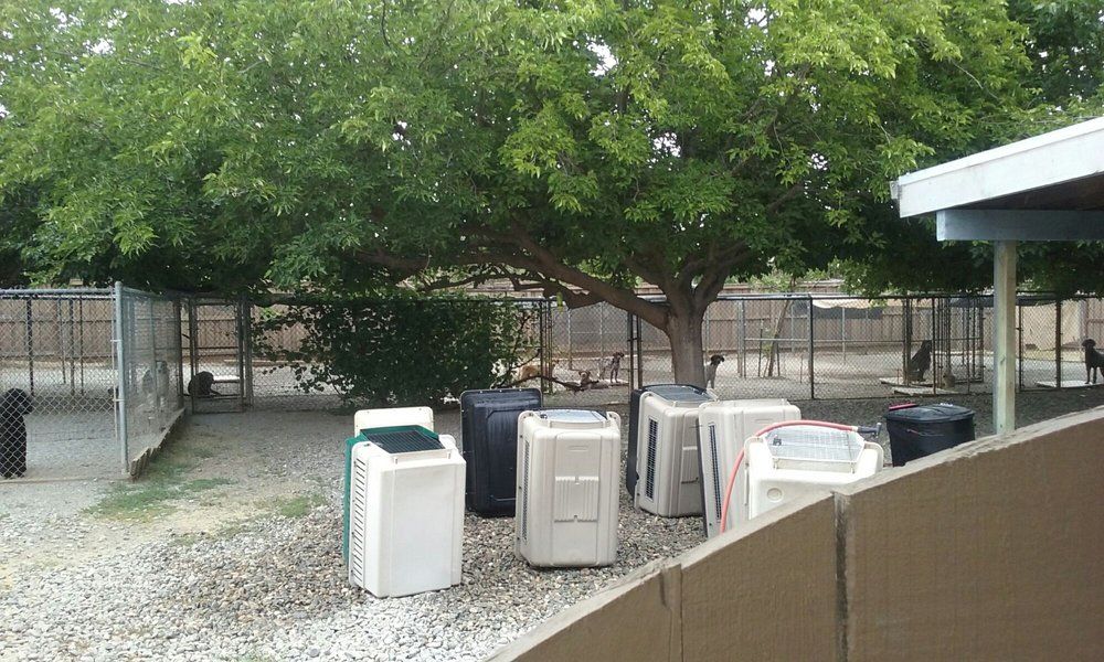 Sundowners Kennels - Gilroy Information