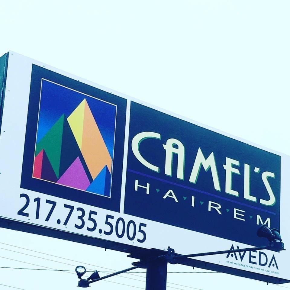 Camel's Hair-Em - Lincoln Thumbnails