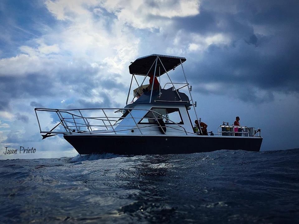 Florida Scuba Charters - North Palm Beach Reasonably