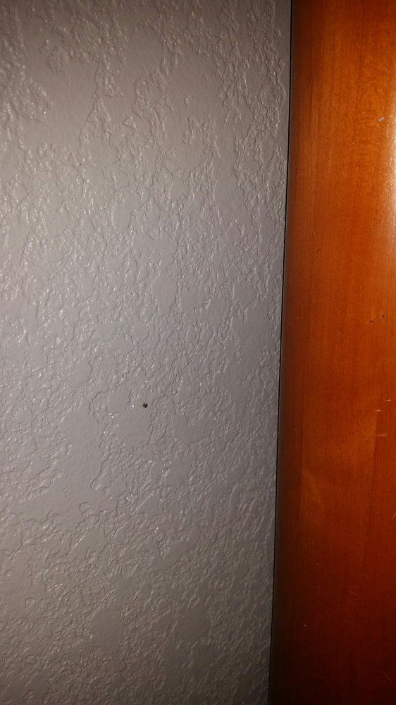 The Islander Motel - Santa Cruz Comfortable