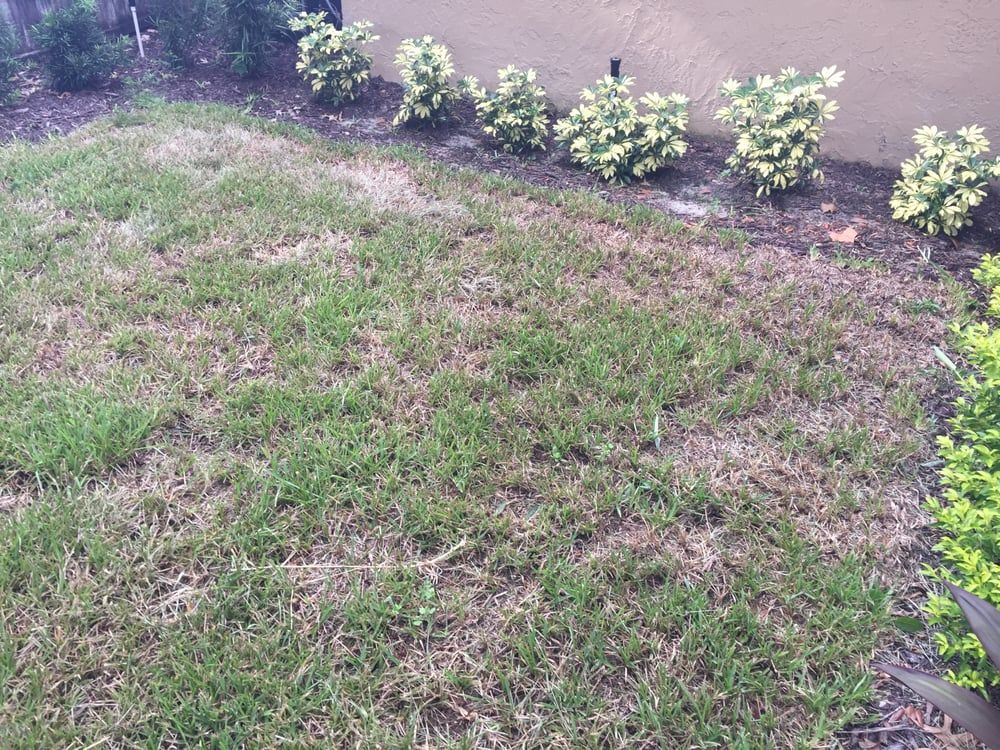 Laurie's Landscape Service - Lake Mary Convenience