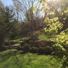 Andover Arborists - Andover Landscaping