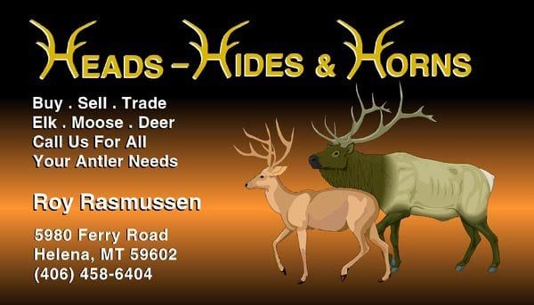Heads, Hides and Horns - Helena Informative