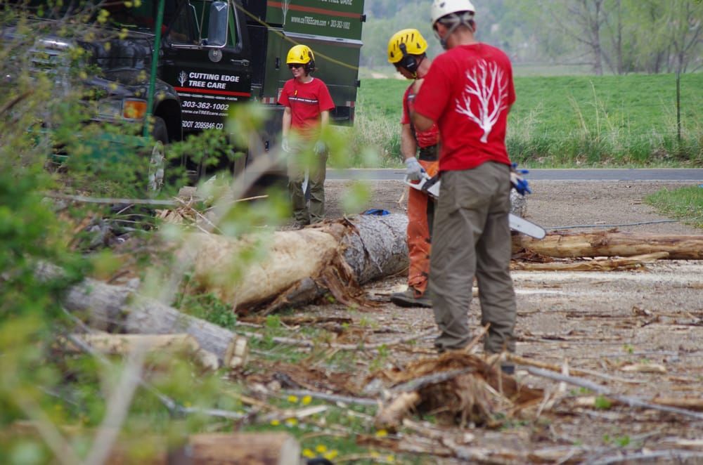 Cutting Edge Tree Care, LLC Breckenridge Service Landscape