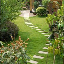 Taylor Brothers Landscape - Parker Informative