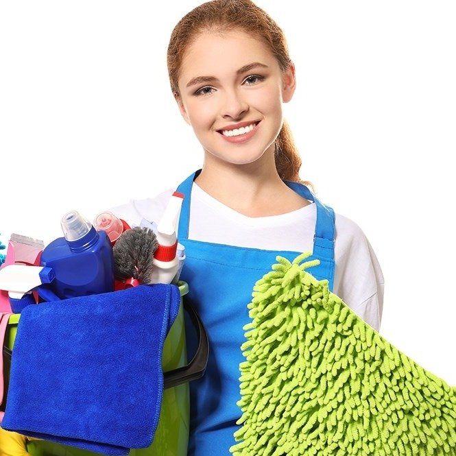 Cleaning Concepts Maid Service - Port Louis Information