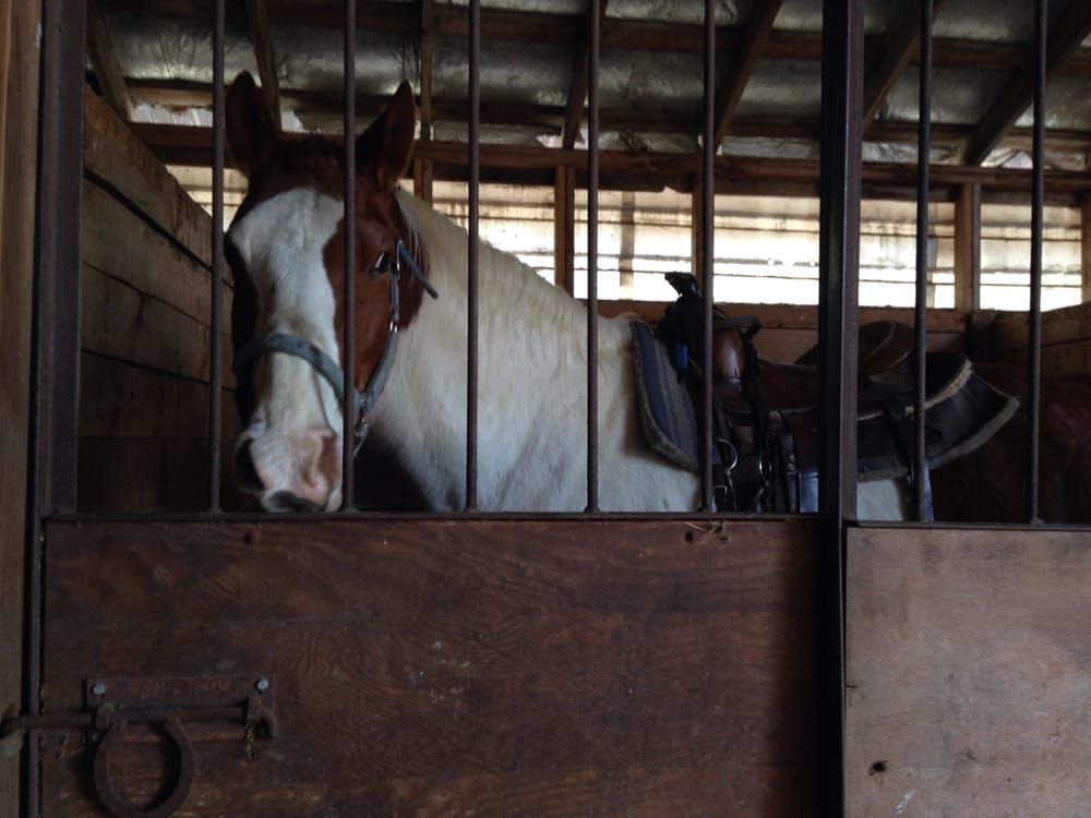 Webb's Holiday Acres Ranch Ltd - Aldergrove Reasonably