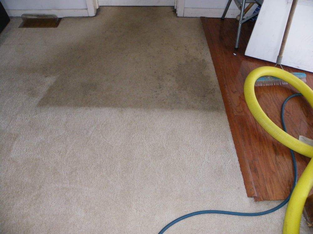 M-M Cleaning Service - Bloomington Combination