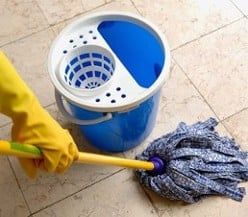 Adelphi Home Cleaning - Beltsville Maintenance