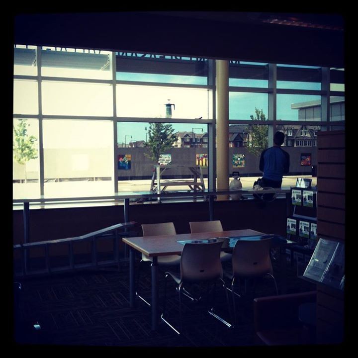 RJ Pro Tint - Dayton Combination