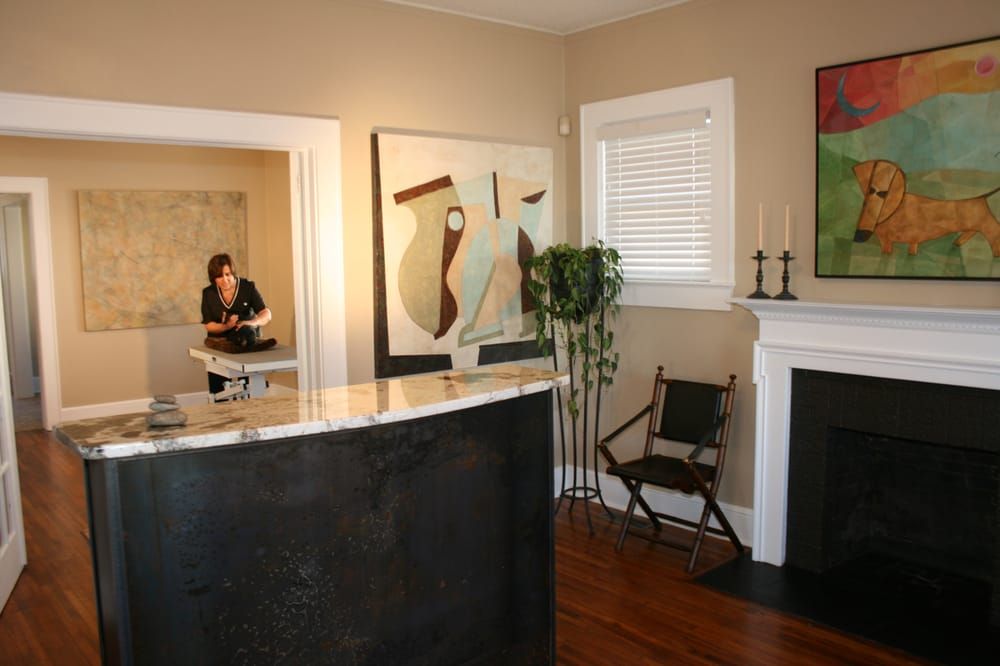 Posh Paws Grooming & Pet Spa LLC - Greenville Documented