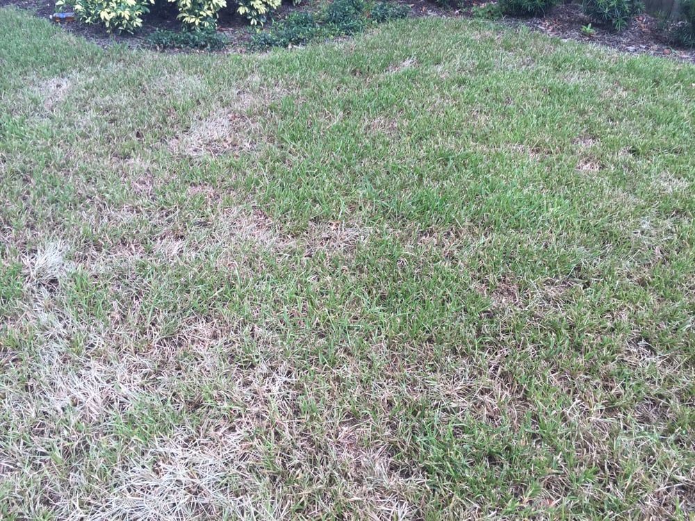 Laurie's Landscape Service - Lake Mary Maintenance