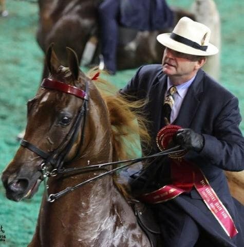 Jon Walker Stables & Riding Academy Inc. - Gastonia Combination