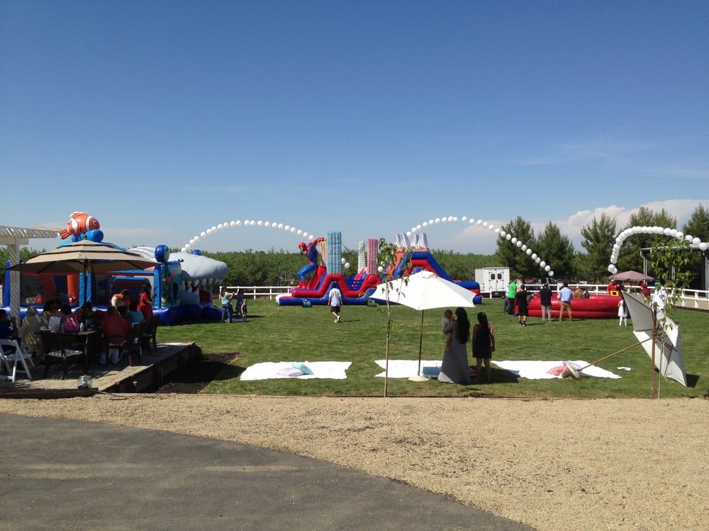 Balloons Galore - Rancho Cordova Appealing