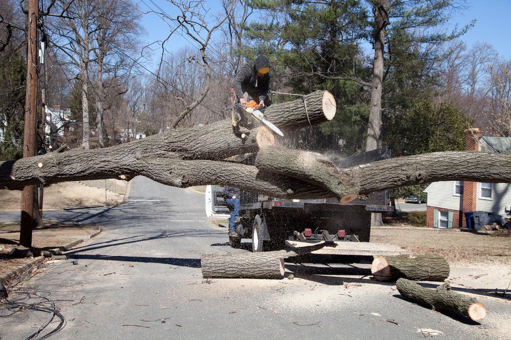 Integrity Tree Care - Indian Trail Wheelchairs
