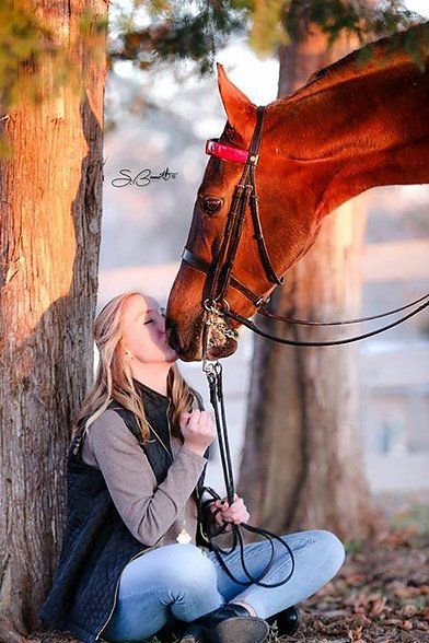 Jon Walker Stables & Riding Academy Inc. - Gastonia Information