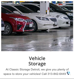 Classic Storage - Rochester Combination
