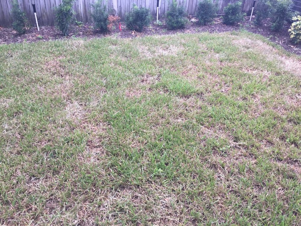 Laurie's Landscape Service - Lake Mary Landscaping