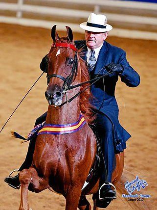 Jon Walker Stables & Riding Academy Inc. - Gastonia Wheelchairs