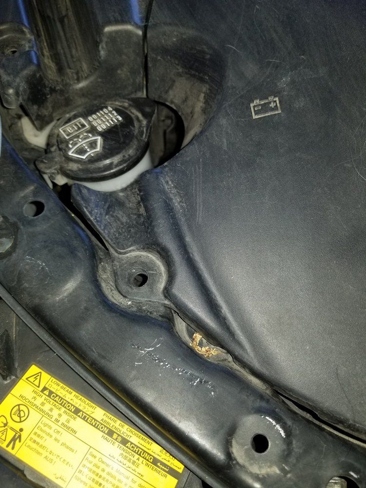 Certified Auto Repair - Belton Positively