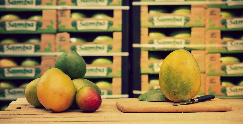 Palenque Foods International, LLC Accessibility