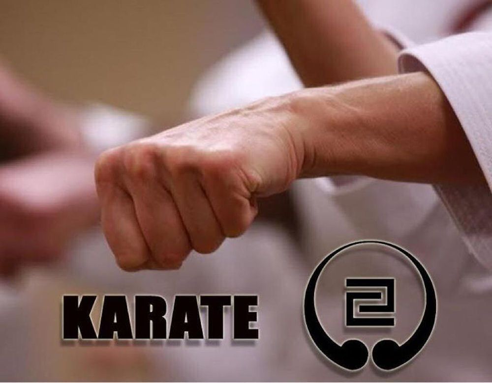 Goju-Ryu Martial Arts Academy - Collingswood Webpagedepot