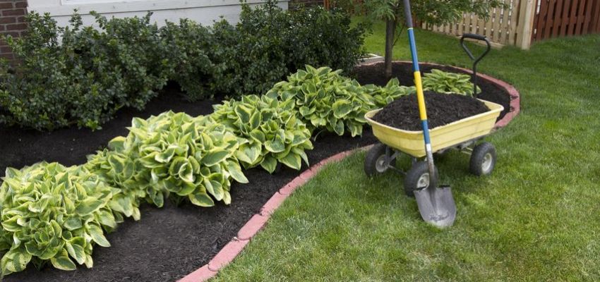 Sunny Slope Sod Farm, LLC - Longmont Organization