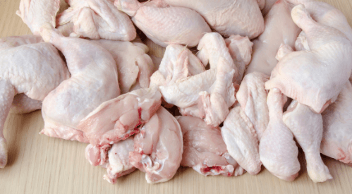 MISTER RAPALINO - Cartagena Atmosphere