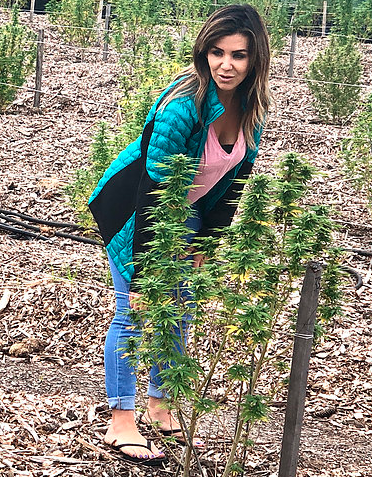 Midwest CBD - Kenosha Documented