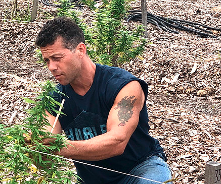 Midwest CBD - Kenosha Atmosphere