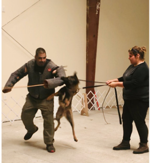 Pro Canine Center - Frenchtown Appointment