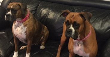 Munson's Auto Service - West Palm Beach Reasonably