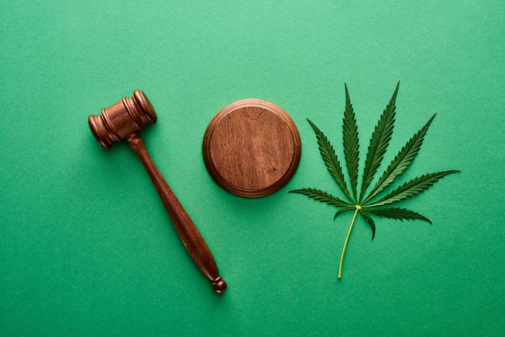 The Cannabis Depot Thumbnails