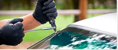 Shield-X Information