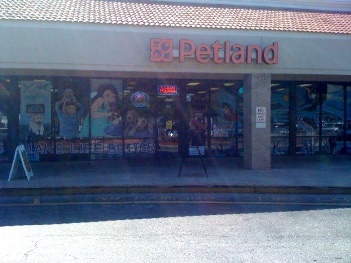 Petland South - Orlando Combination