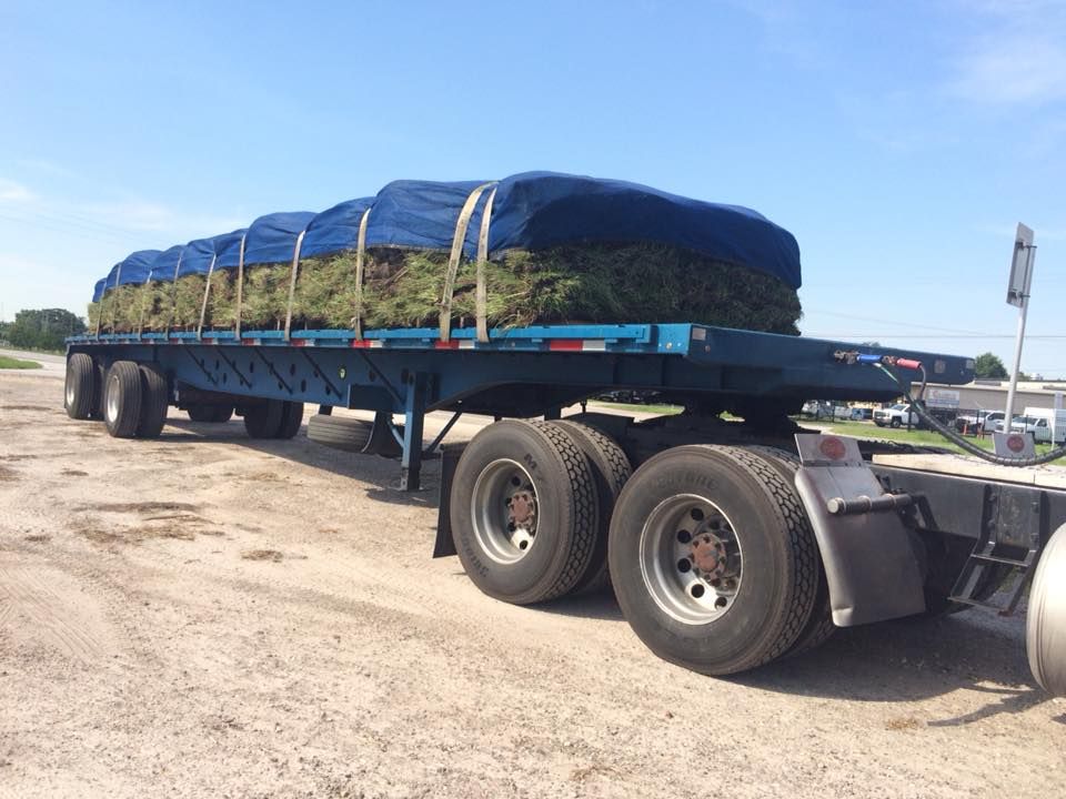 Sod Depot of Orlando - Orlando Information