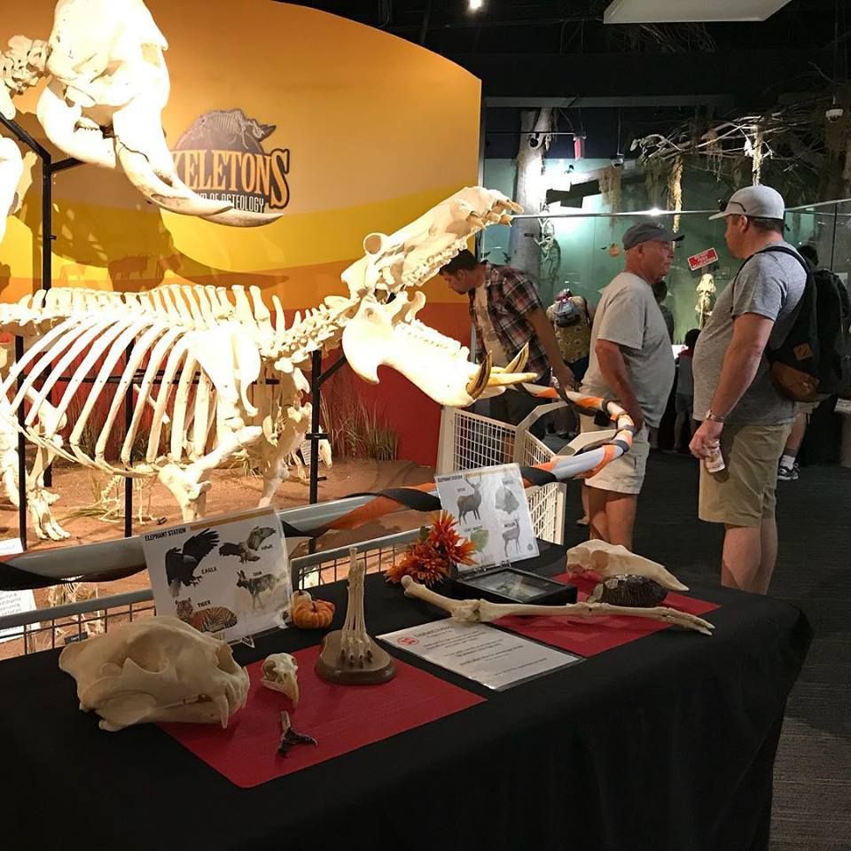 SKELETONS: Museum Of Osteology - Orlando Audio/mobile