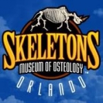 SKELETONS: Museum Of Osteology - Orlando SKELETONS: Museum Of Osteology - Orlando, SKELETONS: Museum Of Osteology - Orlando, 8441 International Drive, Orlando, Florida, Orange County, history museum, Museum - History, ancient, activities inspired by objects, collections, , museum, history, art, learning, education, history, art, modern, contemporary, gallery, dinosaur, science, space, culture, nostalgia